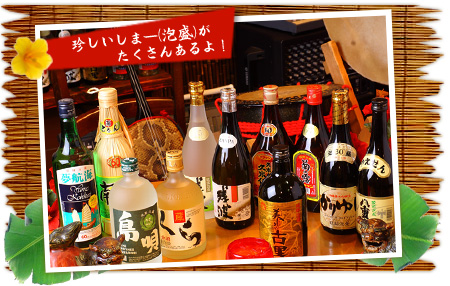 珍しいしまー(泡盛)がたくさんあるよ!